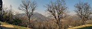 23 Maestosi secolari castagni alla Ca del Tort (550 m)